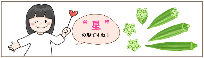 「水」のエネルギーをもつ「オクラ」はなんと◯◯の形!