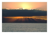 �ɓ������̏ォ��