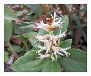 �t�b�L�\�E�i�x�M���j