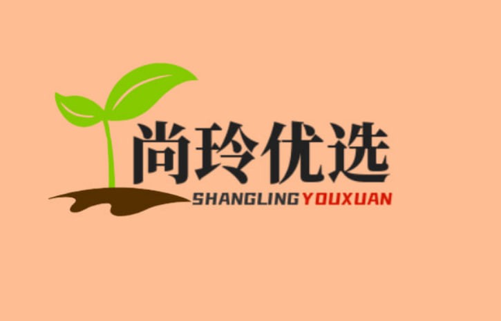 尚玲优选