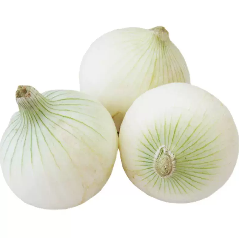 乌什县洋葱1kg/袋