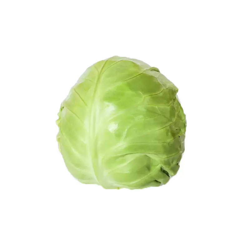 乌什县包菜卷心菜莲花白1kg/袋