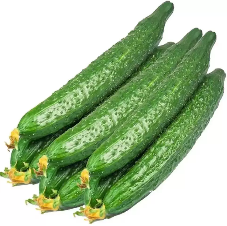 乌什县鲜黄瓜1kg/袋