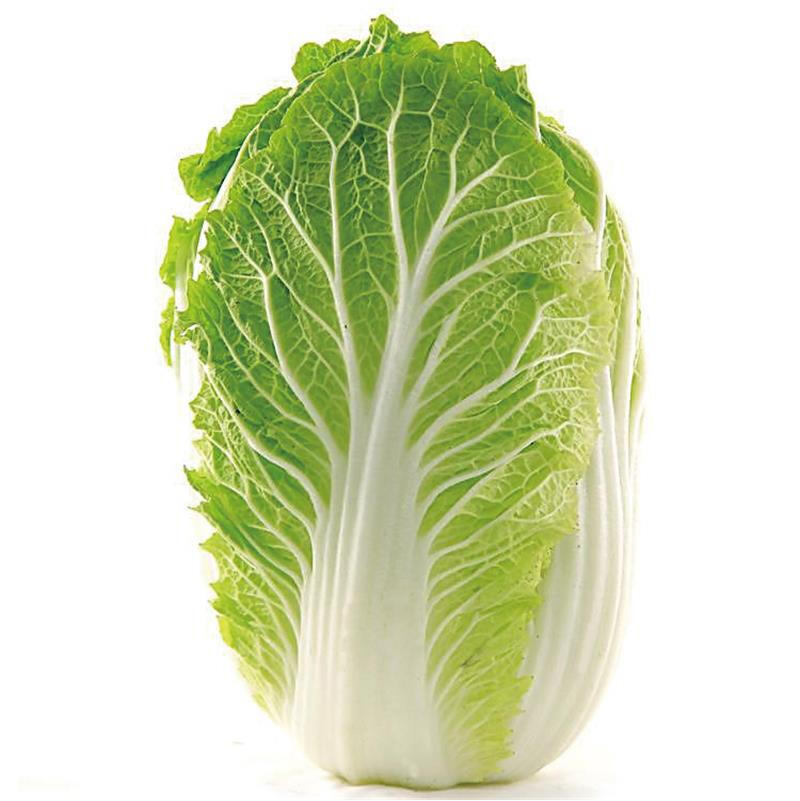 阜平县大白菜50斤