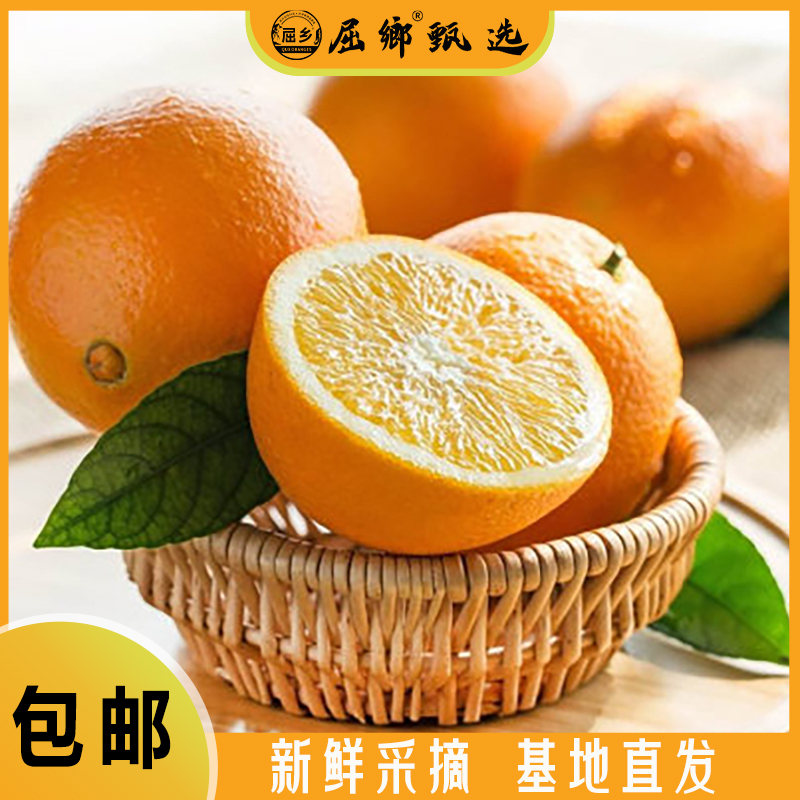 秭归县屈乡应季新鲜伦晚脐橙大果净重5斤70mm＋/箱