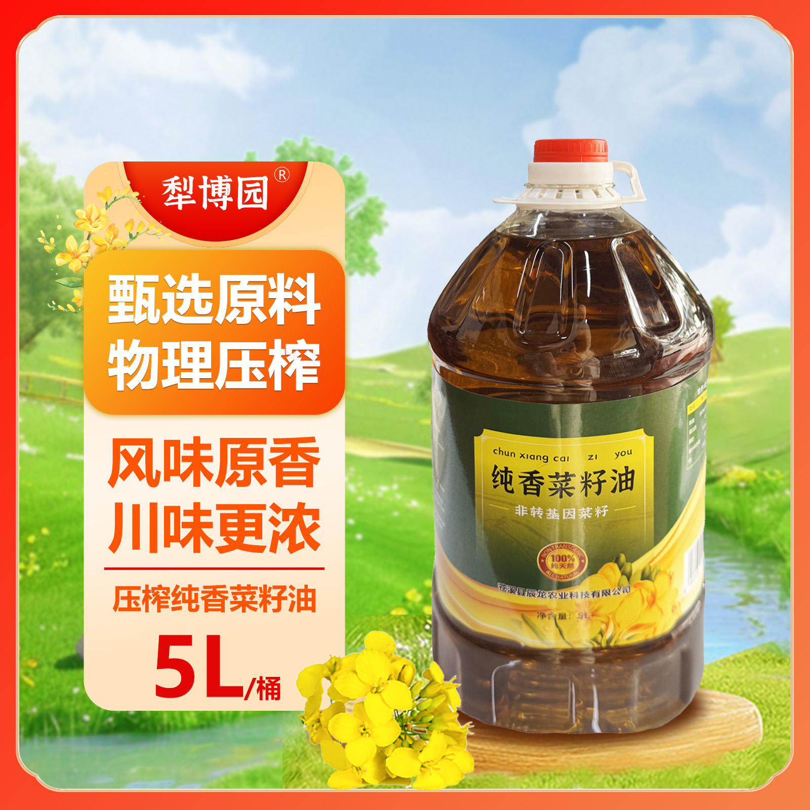 苍溪县犁博园压榨纯香菜籽油5L/桶
