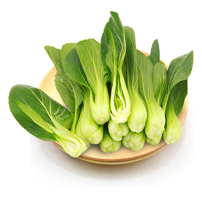 阜平县油菜5斤