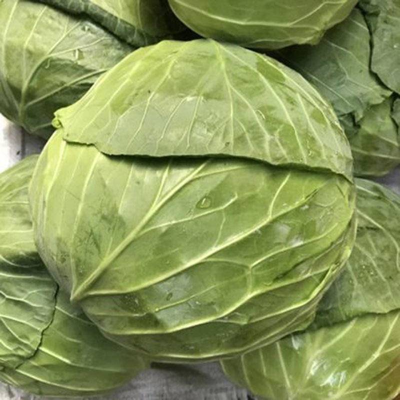 富平县云瀚农业精选时令新鲜包菜2斤