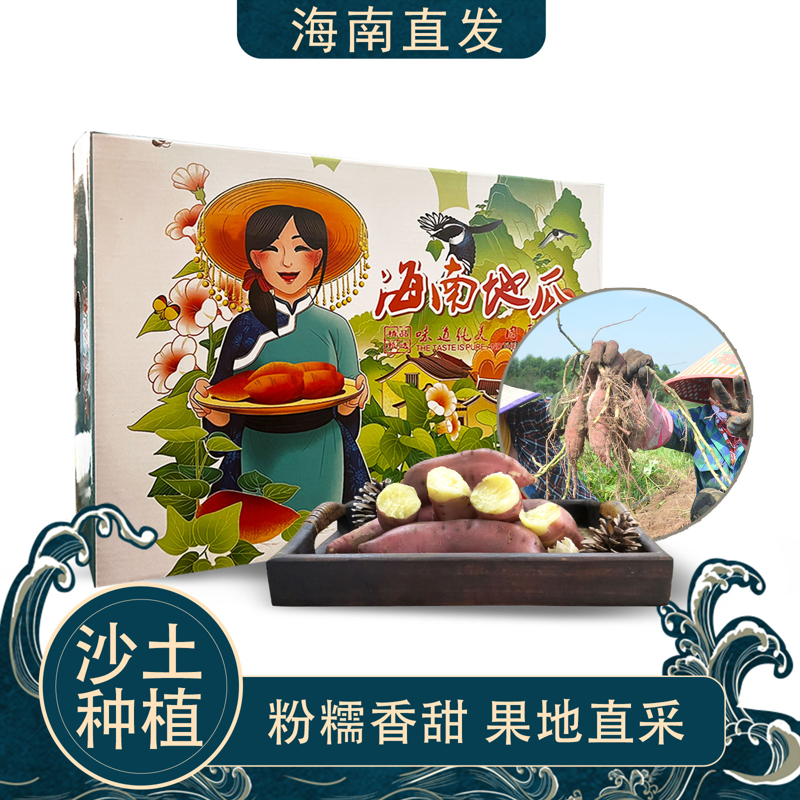 临高县红薯海南地瓜沙土种植精品中大果净重9斤100g－400g/颗