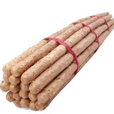 大名县山药新鲜山药5斤装好山药农户自种新鲜
