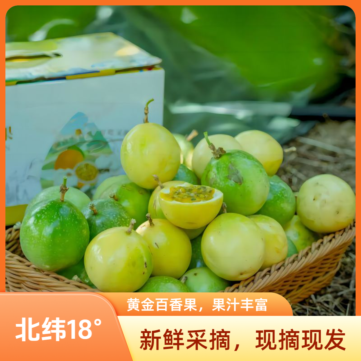 保亭黎族苗族自治县七仙影黄金百香果3斤单果70g至90g