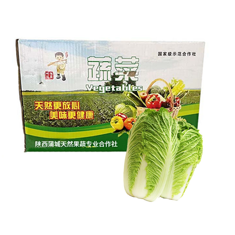 蒲城县新鲜大白菜1颗装