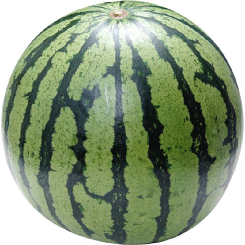 大名县麒麟西瓜现摘甜心大西瓜皮薄超甜西瓜50斤/箱