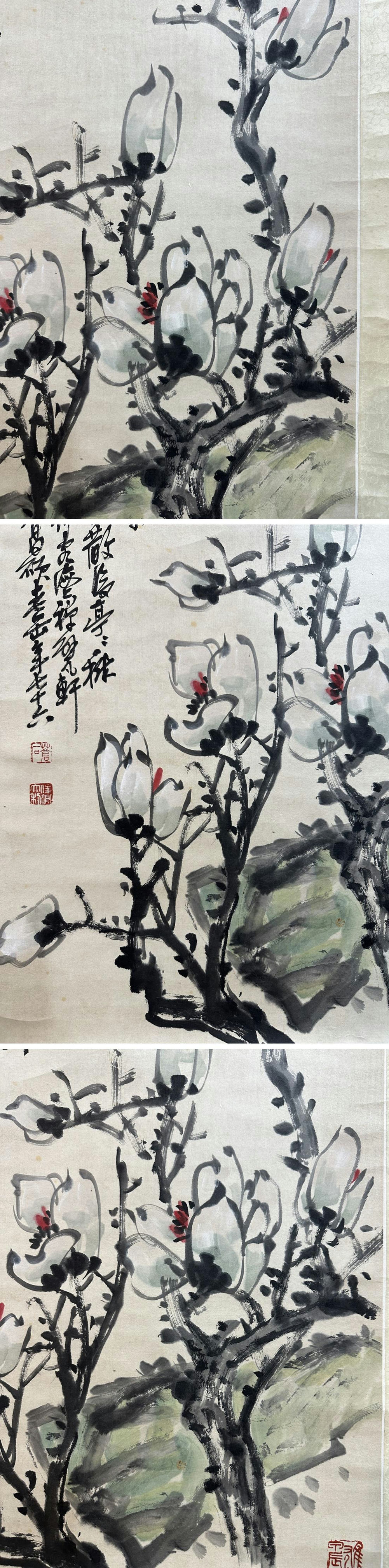 此商品圖像無法被轉載請進入原始網查看